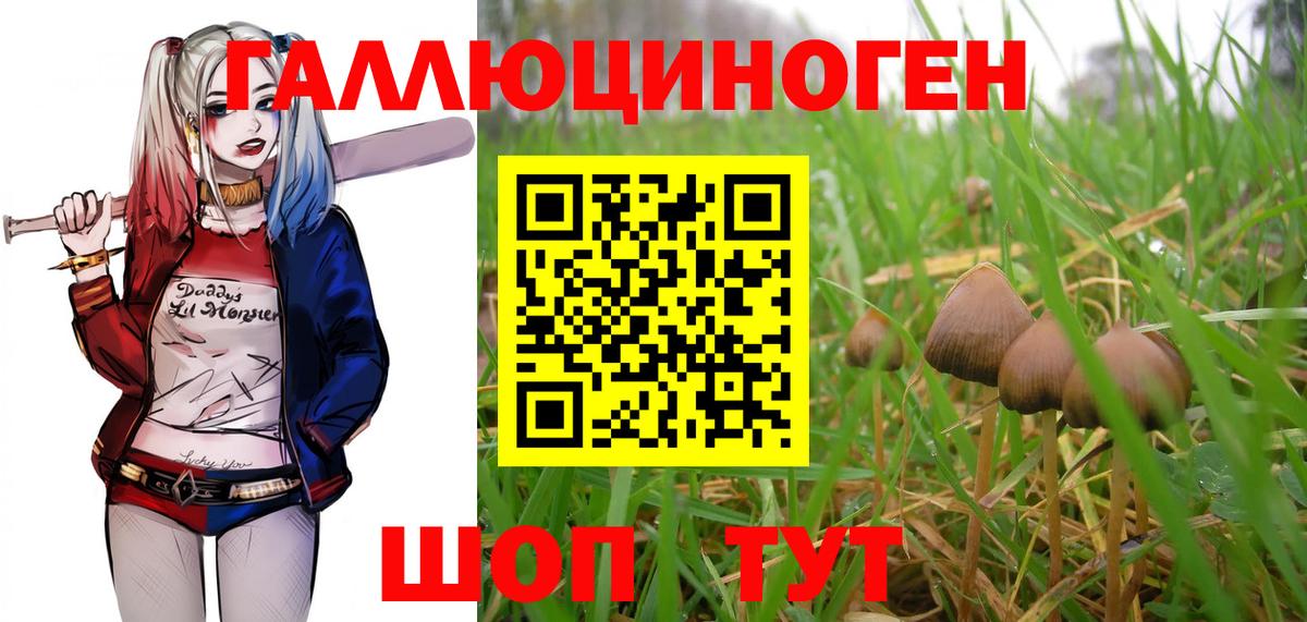 Псилоцибиновые грибы Cubensis  Вход с VPN  Зеленодольск 