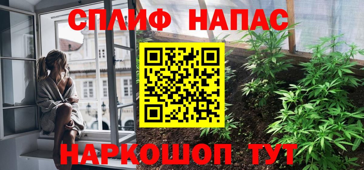 Каннабис планчик Зеленодольск